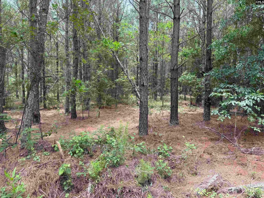 00 Seivern Road, Wagener, SC 29164 - #2