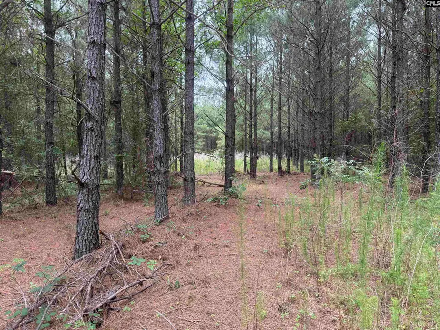 00 Seivern Road, Wagener, SC 29164 - #3
