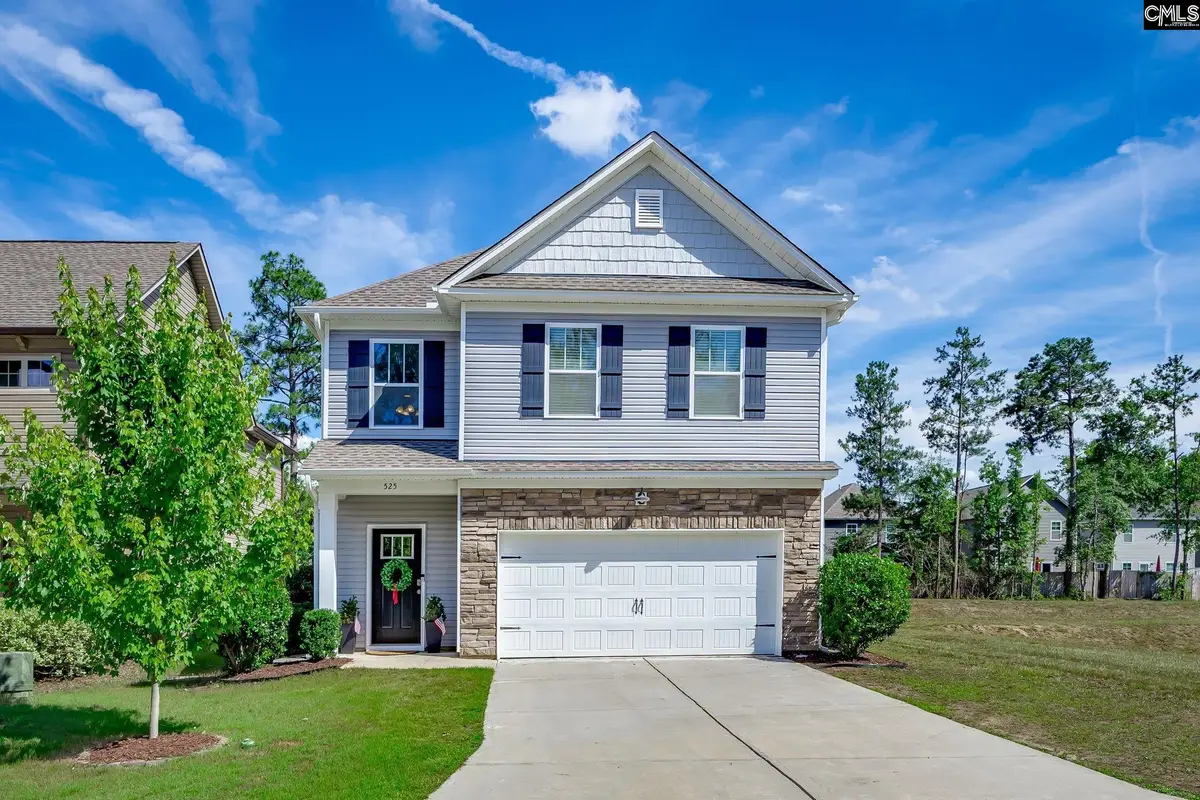525 Red Taffy Way, Lexington, SC 29073 - #1