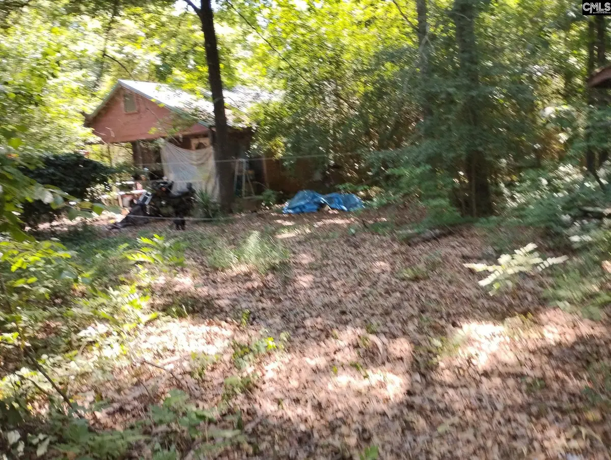 110 Love Lane, Orangeburg, SC 29115 - #1