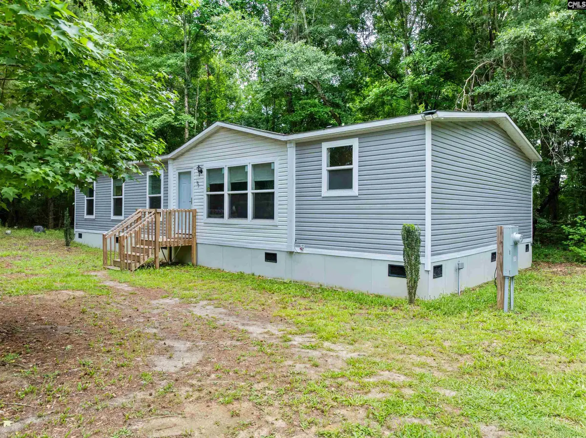 193 Mott Drive, Cope, SC 29038 - #1