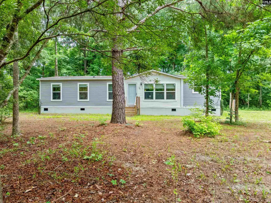 193 Mott Drive, Cope, SC 29038 - #2