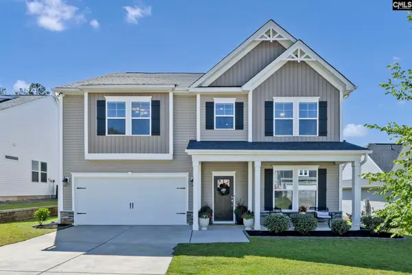 209 Chapin Place Way, Chapin, SC 29036