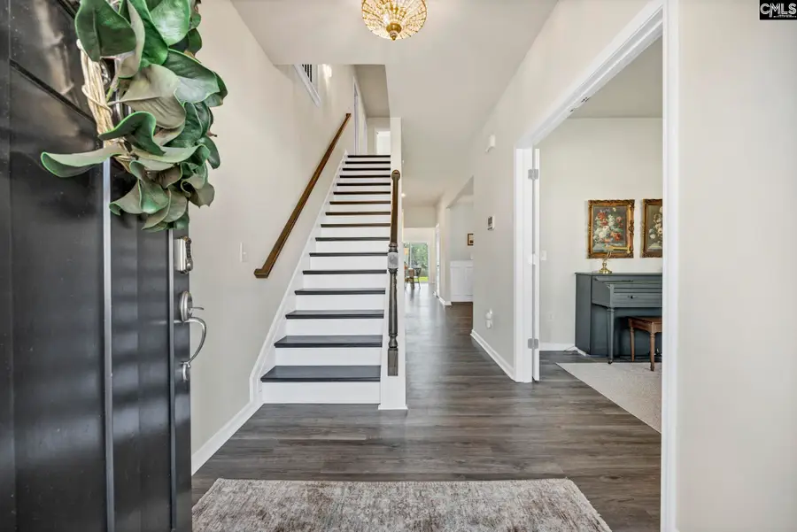 209 Chapin Place Way, Chapin, SC 29036 - #3