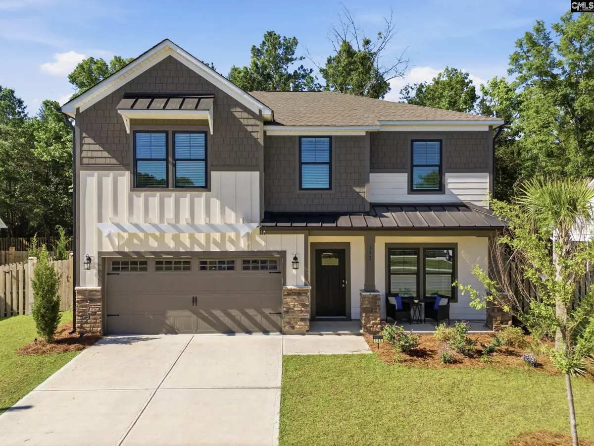 133 Collins Cove Drive, Chapin, SC 29036 - #1