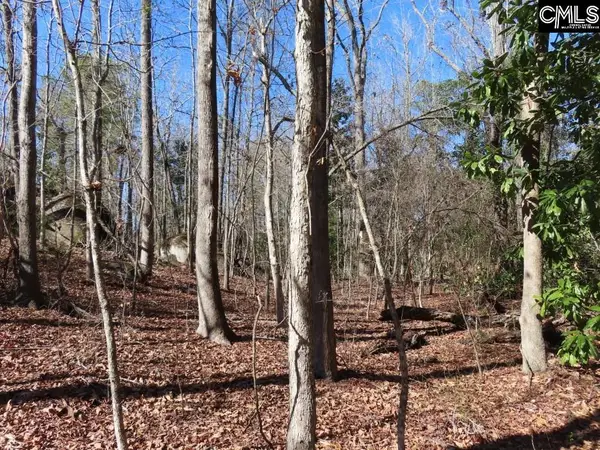 0 Rion Road, Winnsboro, SC 29180
