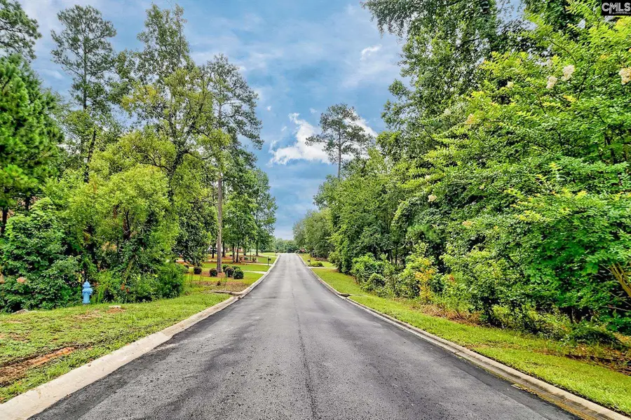 0 Kelsey Glen Drive, Lexington, SC 29072 - #2