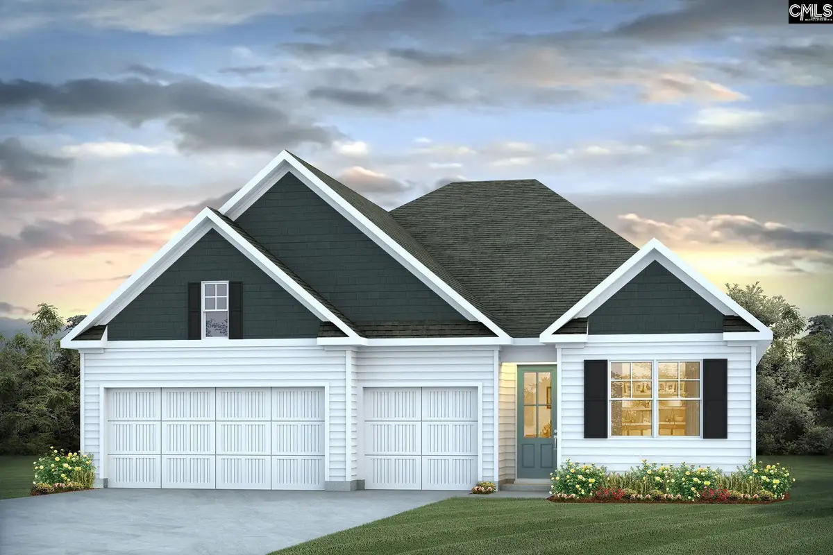 287 Livingston Woods Drive, Irmo, SC 29063 - #1