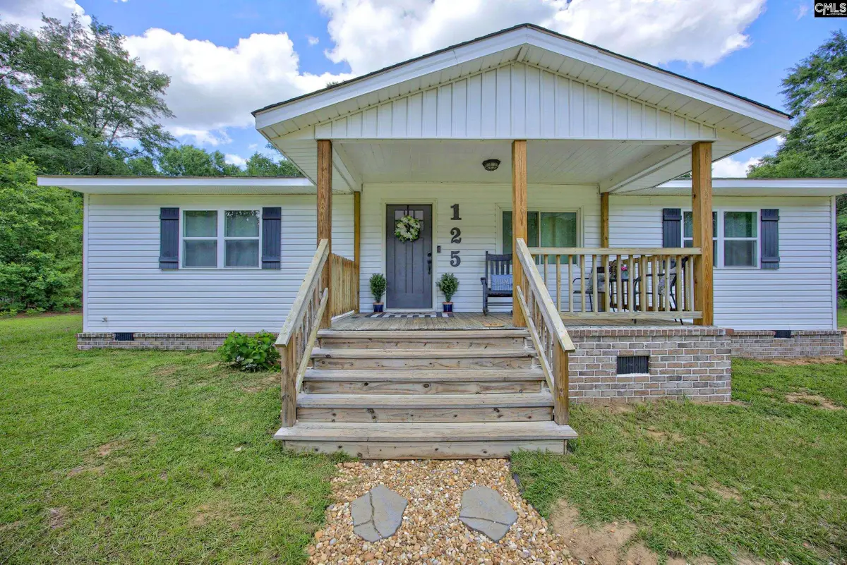 125 Patricia Avenue, Pelion, SC 29123 - #1