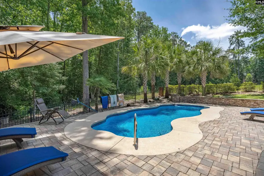 213 Belfry Court, Lexington, SC 29072 - #2