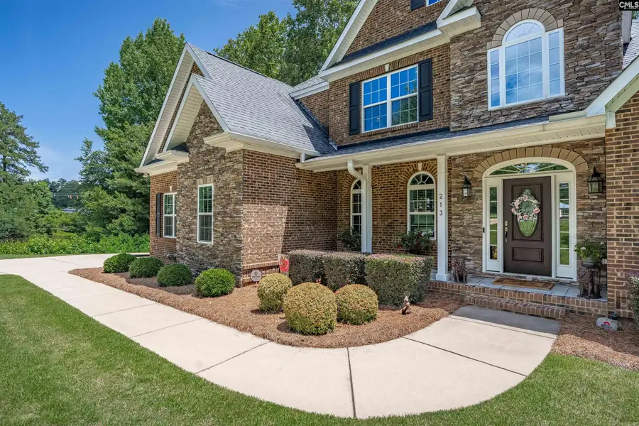 213 Belfry Court, Lexington, SC 29072 - #3