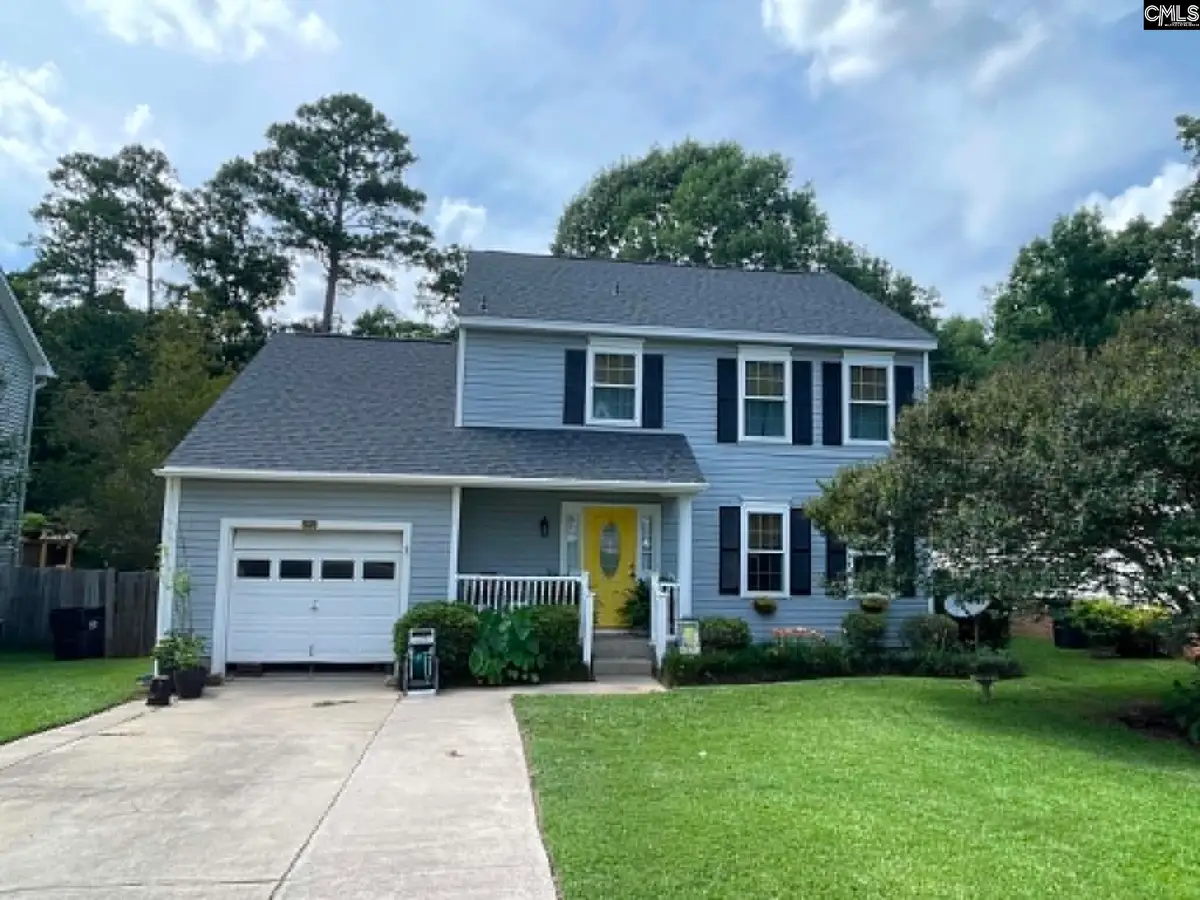 229 Stoney Pointe Drive, Chapin, SC 29036 - #1