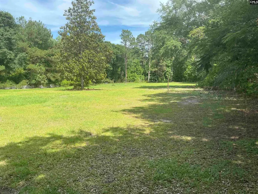 495 Majority Road, Orangeburg, SC 29118 - #3