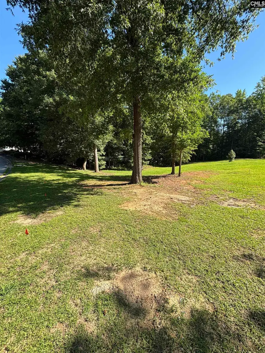 320 Oakhurst Place, Blythewood, SC 29016 - #2