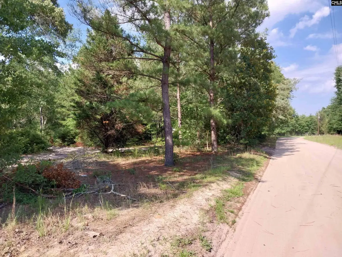 143 Tom Lucas Lane, Pelion, SC 29123 - #1