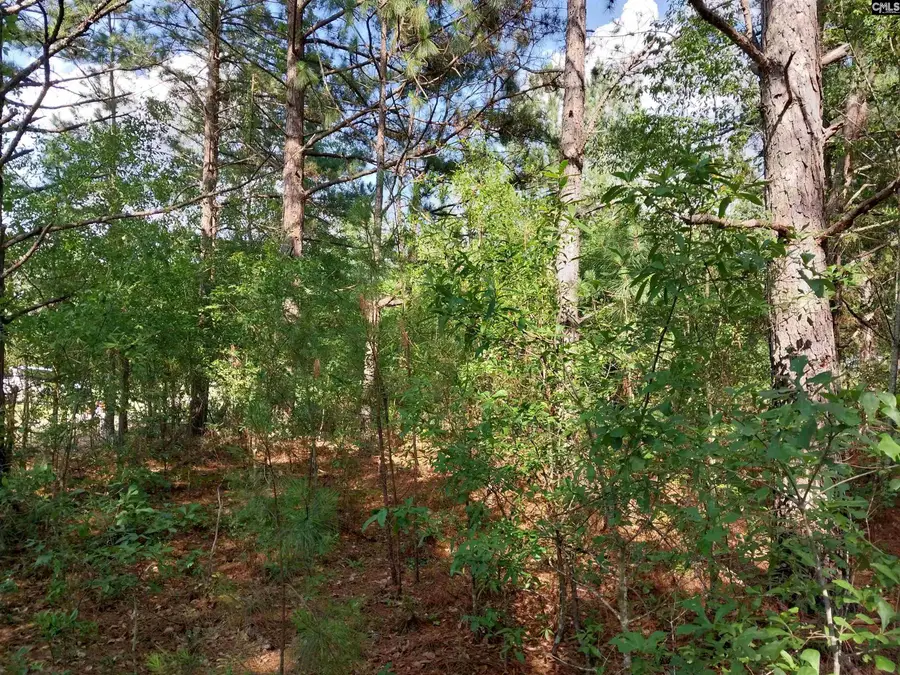 143 Tom Lucas Lane, Pelion, SC 29123 - #3