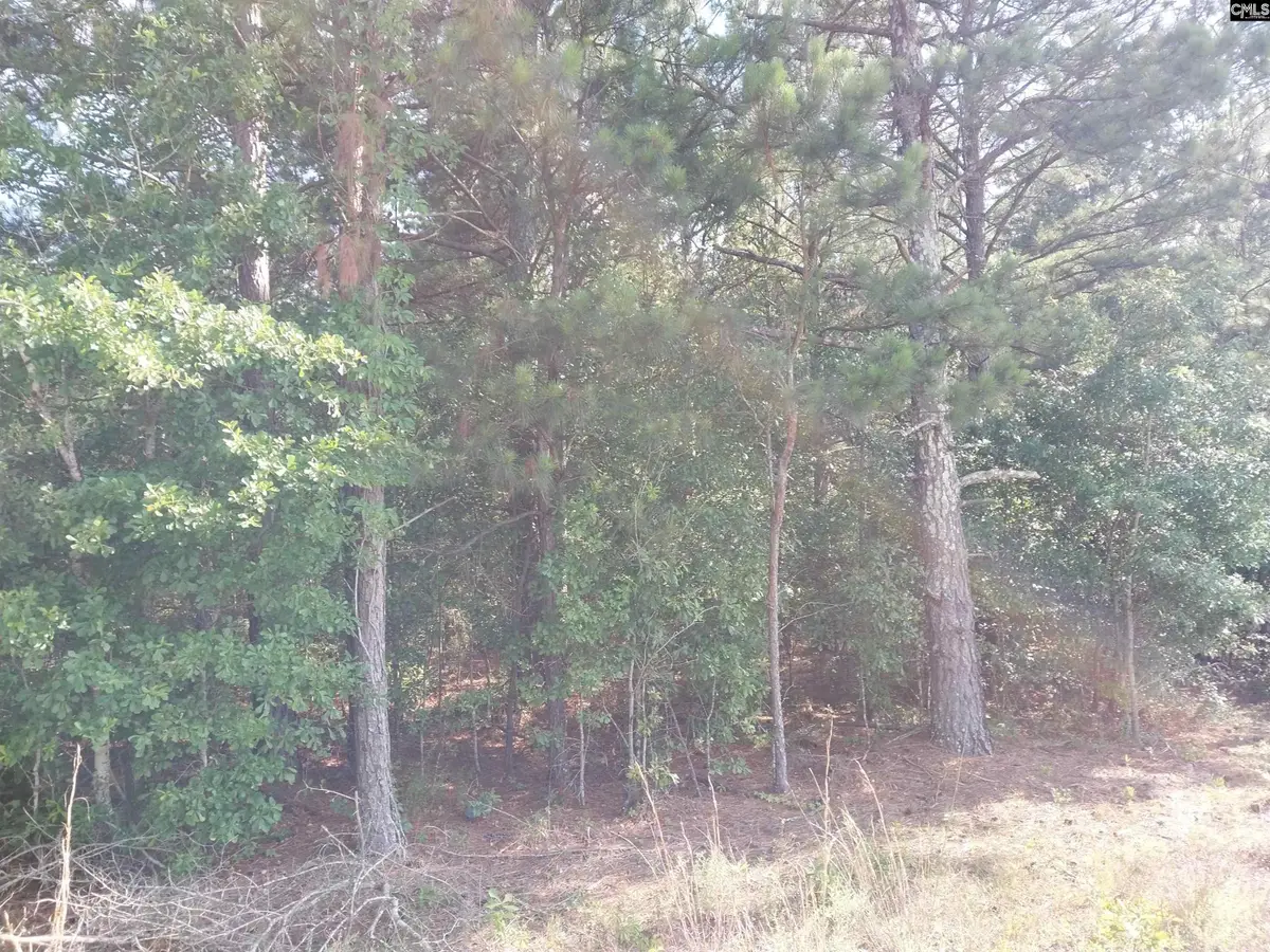 408 Sells Court, Pelion, SC 29123 - #1