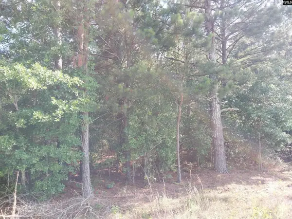 408 Sells Court, Pelion, SC 29123