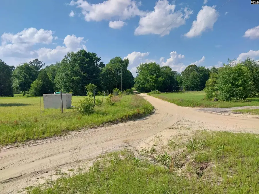 408 Sells Court, Pelion, SC 29123 - #2