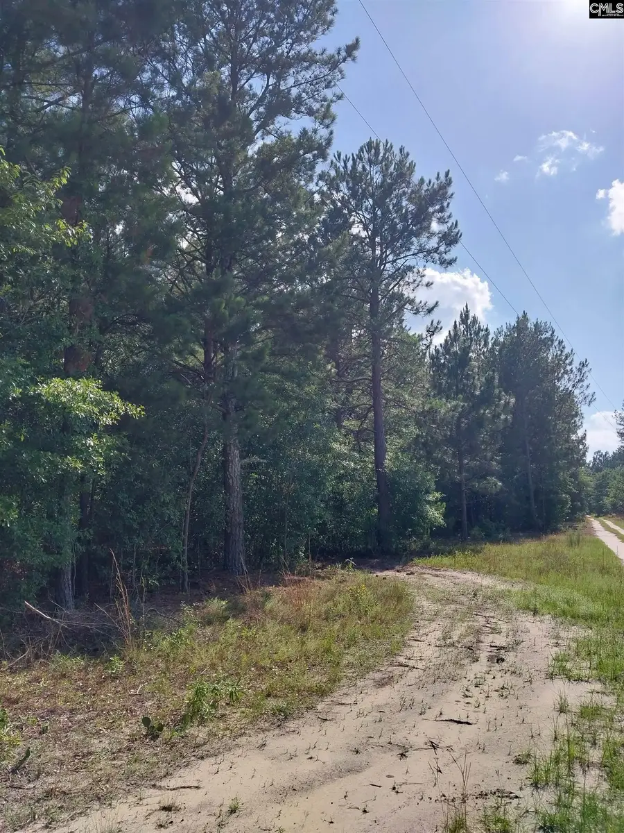 408 Sells Court, Pelion, SC 29123 - #3