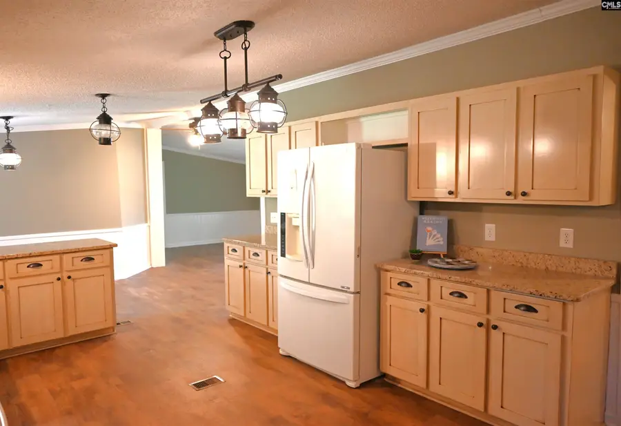 209 Ann Street, Pelion, SC 29123 - #3