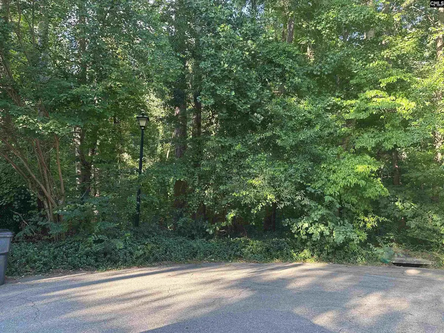 521 Winding Way, Columbia, SC 29212 - #2