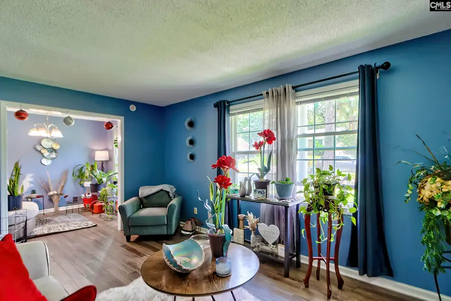 209 Sommerset Drive, Columbia, SC 29223 - #3