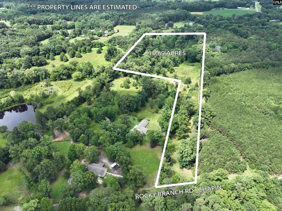 0 Rocky Branch Road, Chapin, SC 29036 - #2