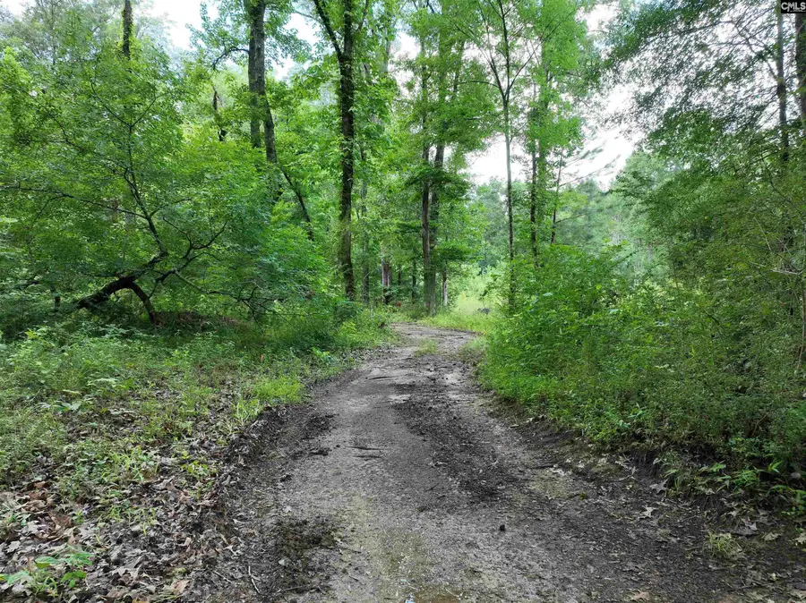 0 Rocky Branch Road, Chapin, SC 29036 - #3