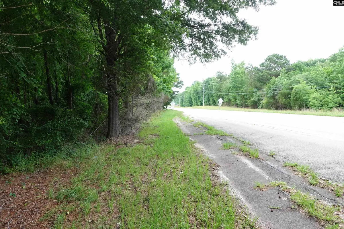 0 Hwy 378, Pleasant Lane, SC 29835 - #1
