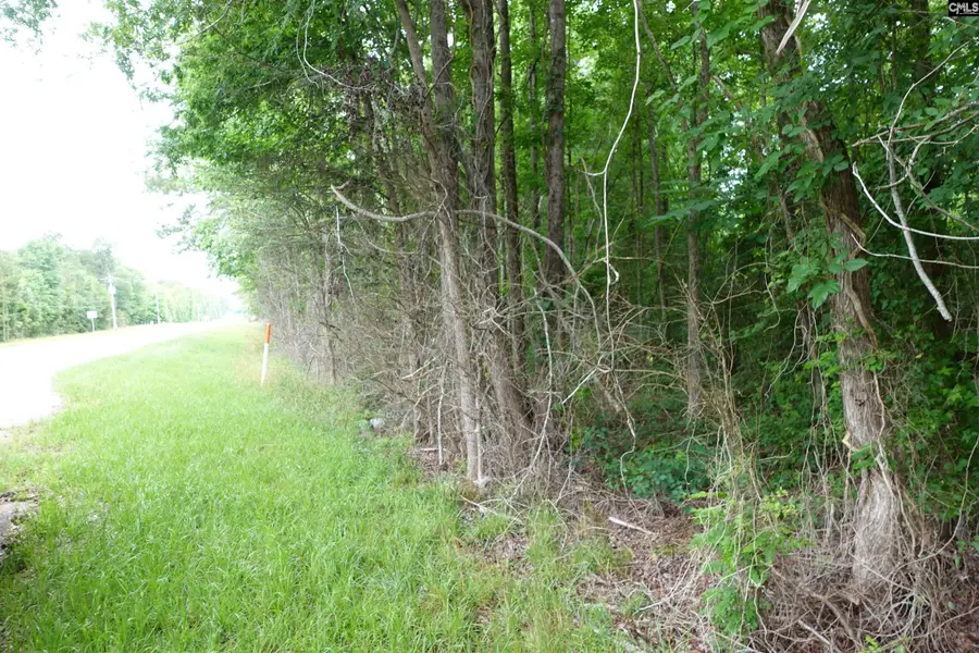 0 Hwy 378, Pleasant Lane, SC 29835 - #2