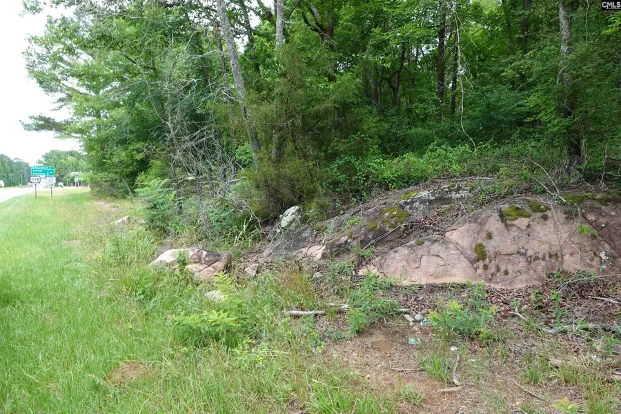 0 Hwy 378, Pleasant Lane, SC 29835 - #3