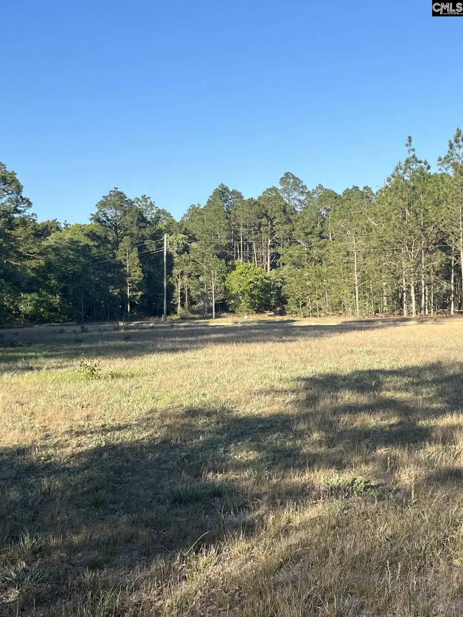 1860 Martin Smith Road, Leesville, SC 29070 - #3