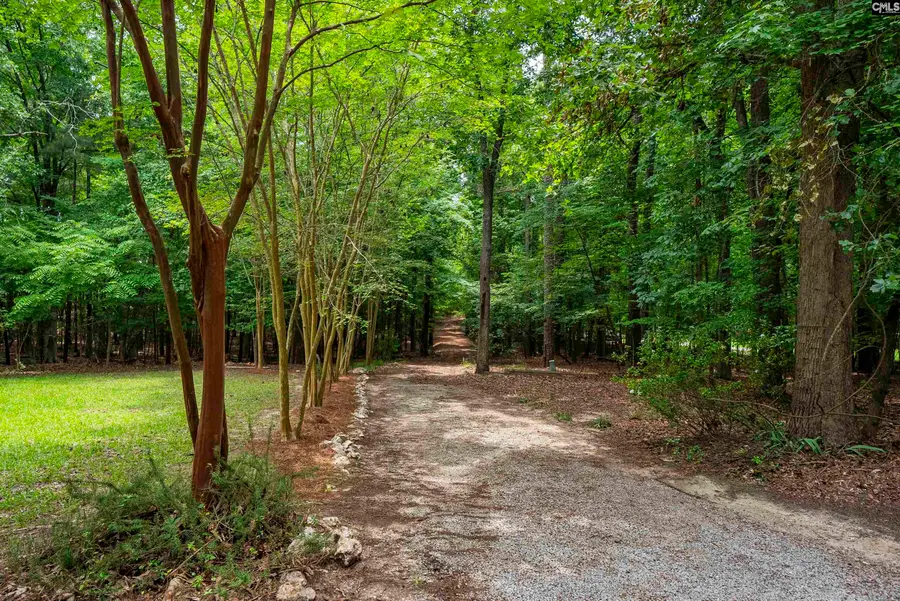 292 Quail Walk Trail, Chapin, SC 29036 - #3