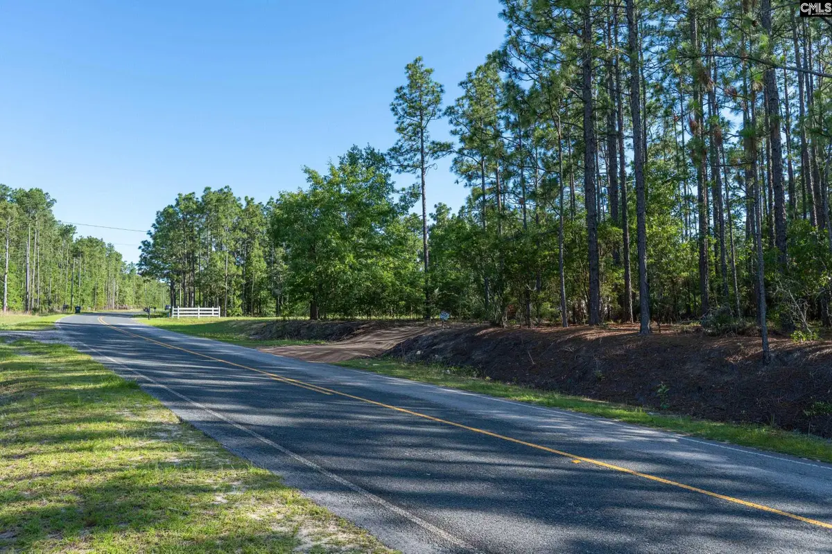 0 Pine Plain Road, Gaston, SC 29053 - #1