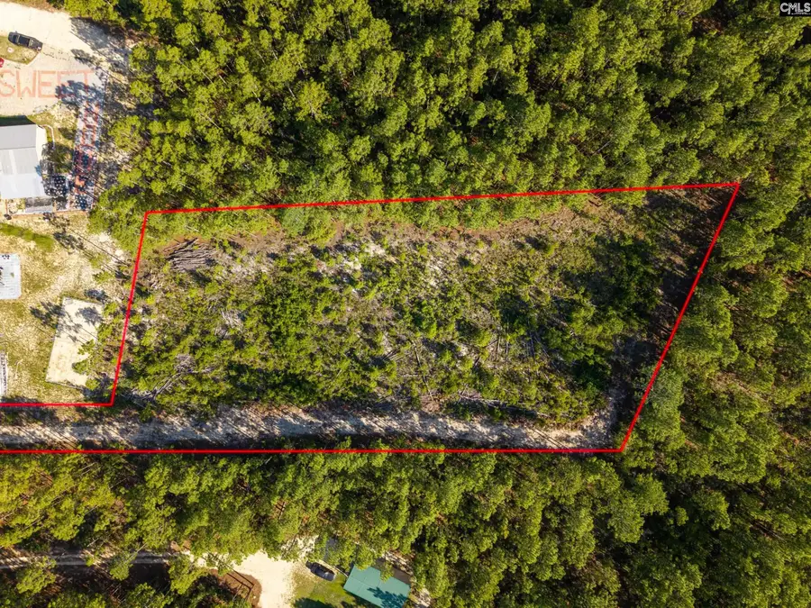 0 Pine Plain Road, Gaston, SC 29053 - #2