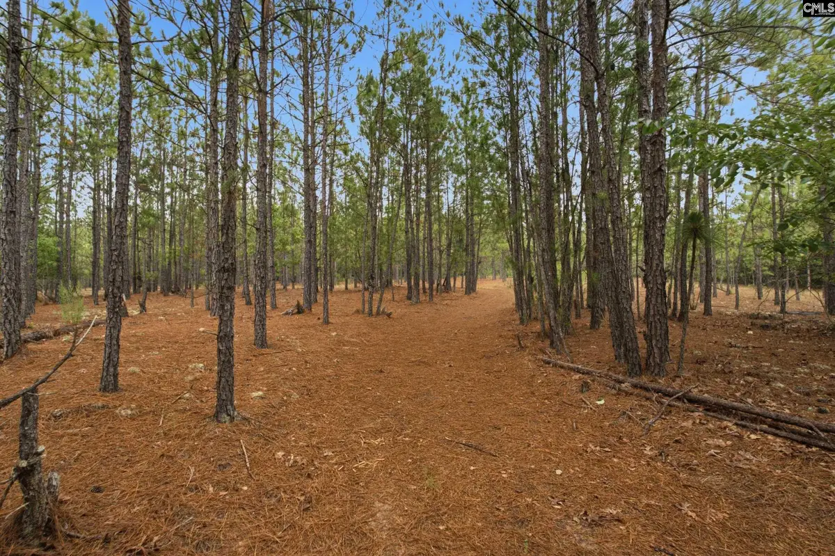 3390 Hunter Road, Kershaw, SC 29067 - #1