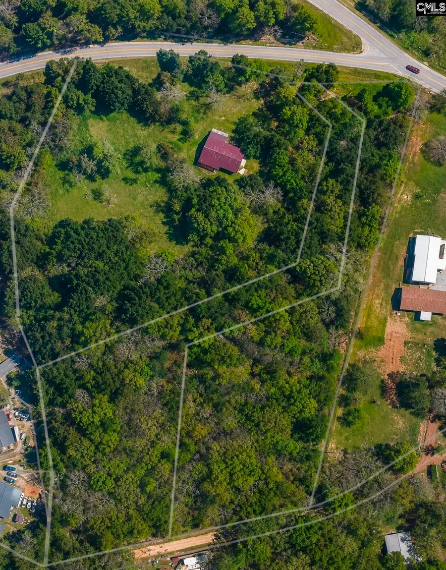 2458 Chapin Road, Chapin, SC 29036 - #3