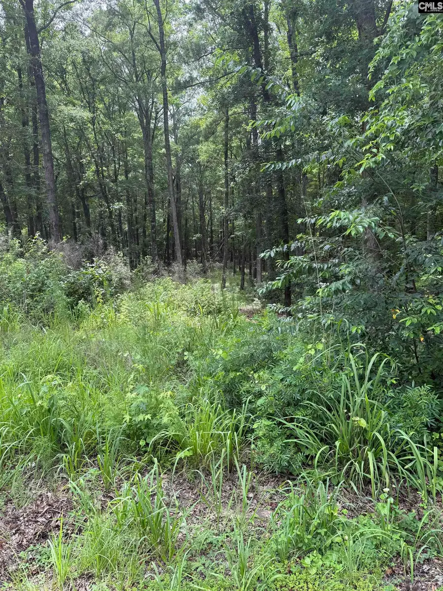1409 Mullis Road, Blythewood, SC 29016 - #2