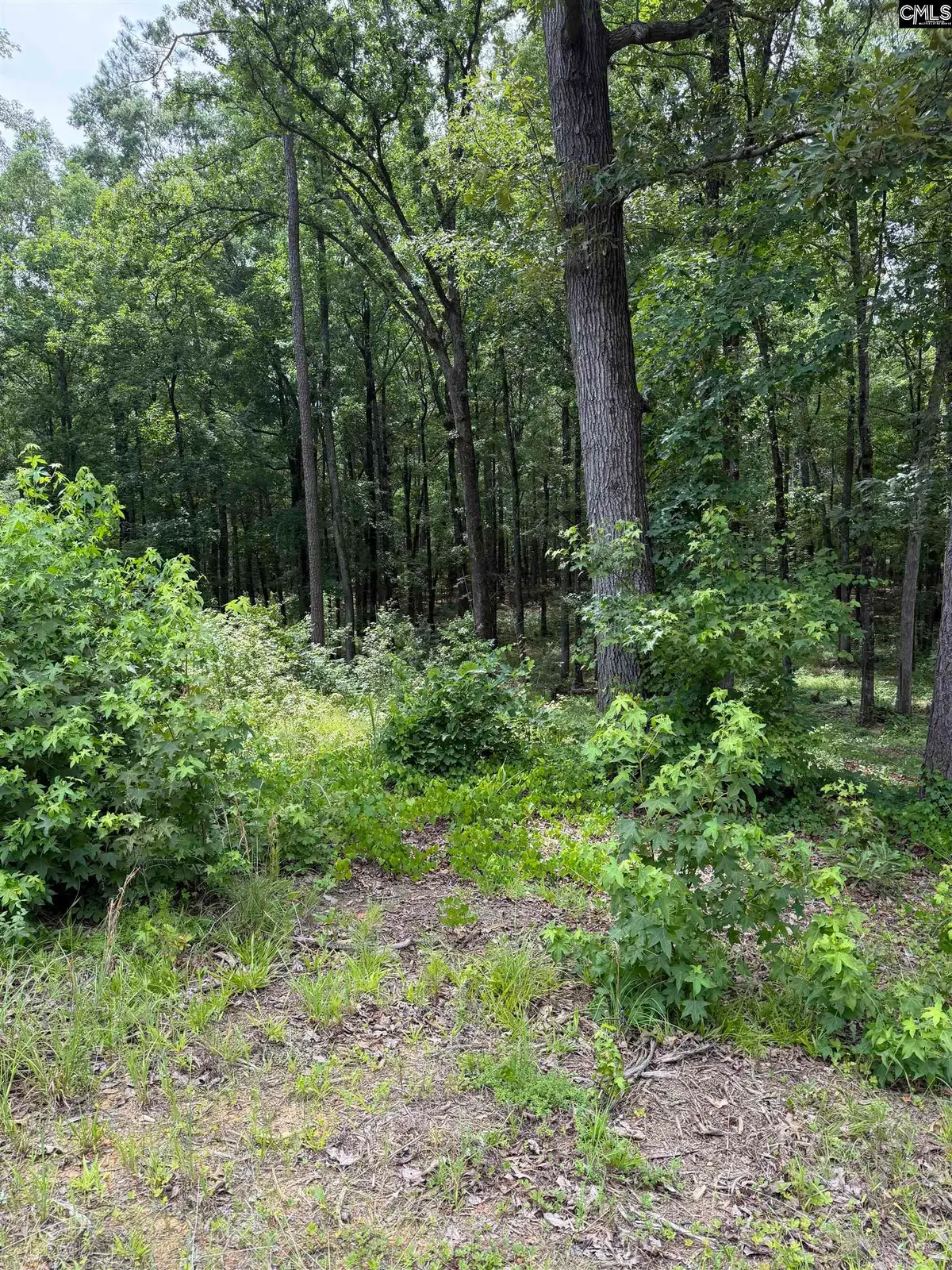 1405 Mullis Road, Blythewood, SC 29016 - #1