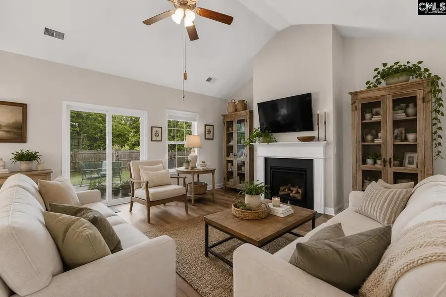 730 Green Branch Court, Columbia, SC 29212 - #3