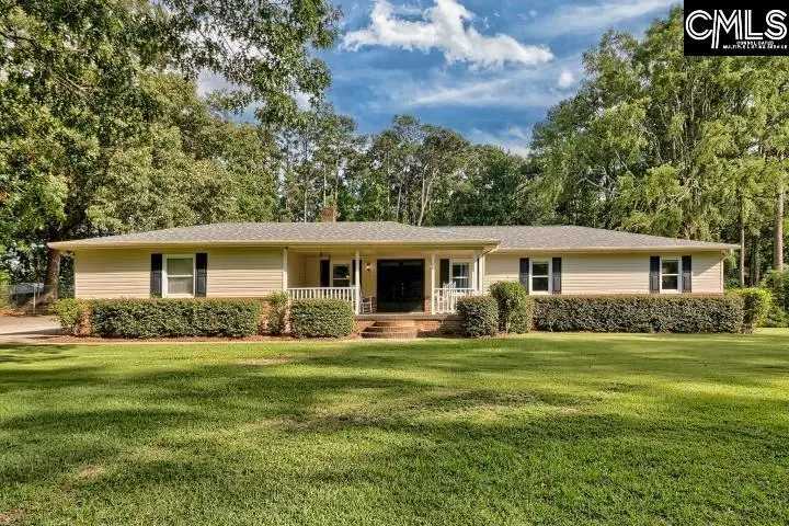 166 Mill Stream Road, Lexington, SC 29072 - #1