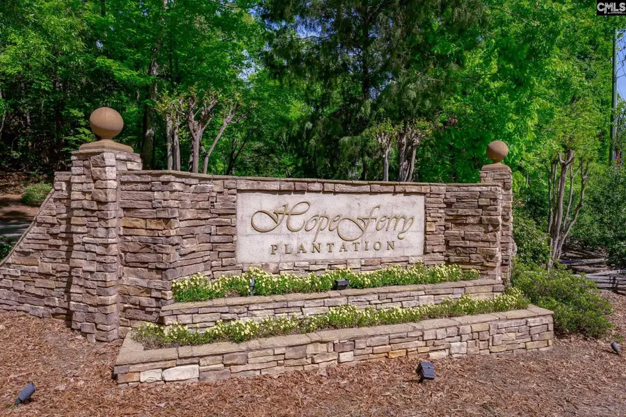 812 Beech Leaf Court, Lexington, SC 29072 - #3