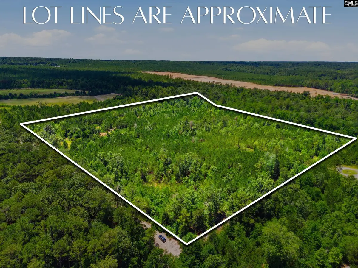 590 Springwood Lane, Lexington, SC 29073 - #1