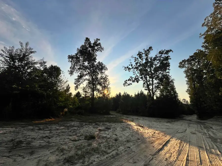 590 Springwood Lane, Lexington, SC 29073 - #3