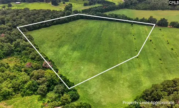 Lot 1 Finback Road, Wagener, SC 29164