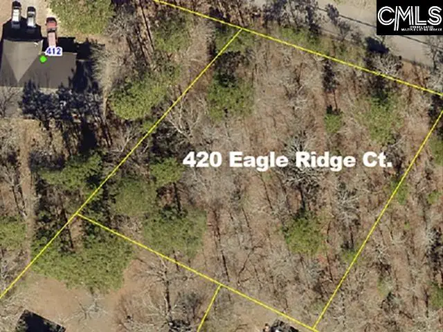 420 Eagle Ridge Court, Gaston, SC 29053 - #1
