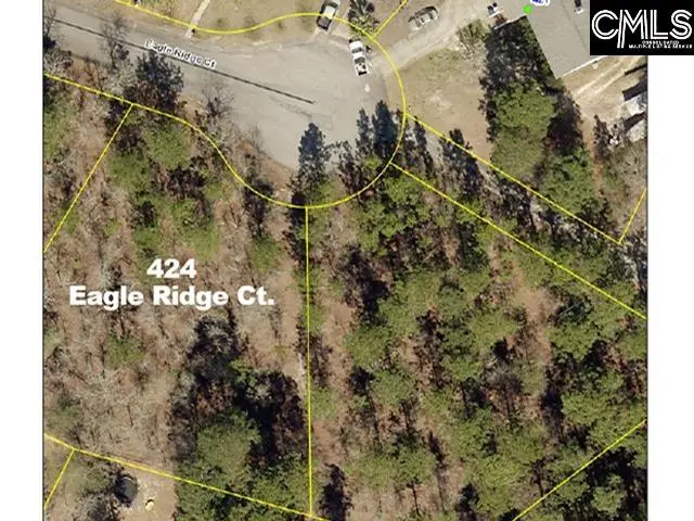 424 Eagle Ridge Court, Gaston, SC 29053 - #1