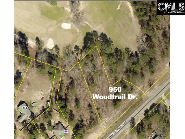 950 Woodtrail Drive, Gaston, SC 29053 - #1