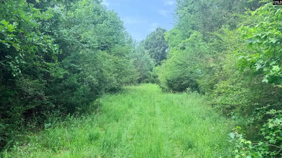 00 Old Cherokee Trail, Saluda, SC 29138 - #3